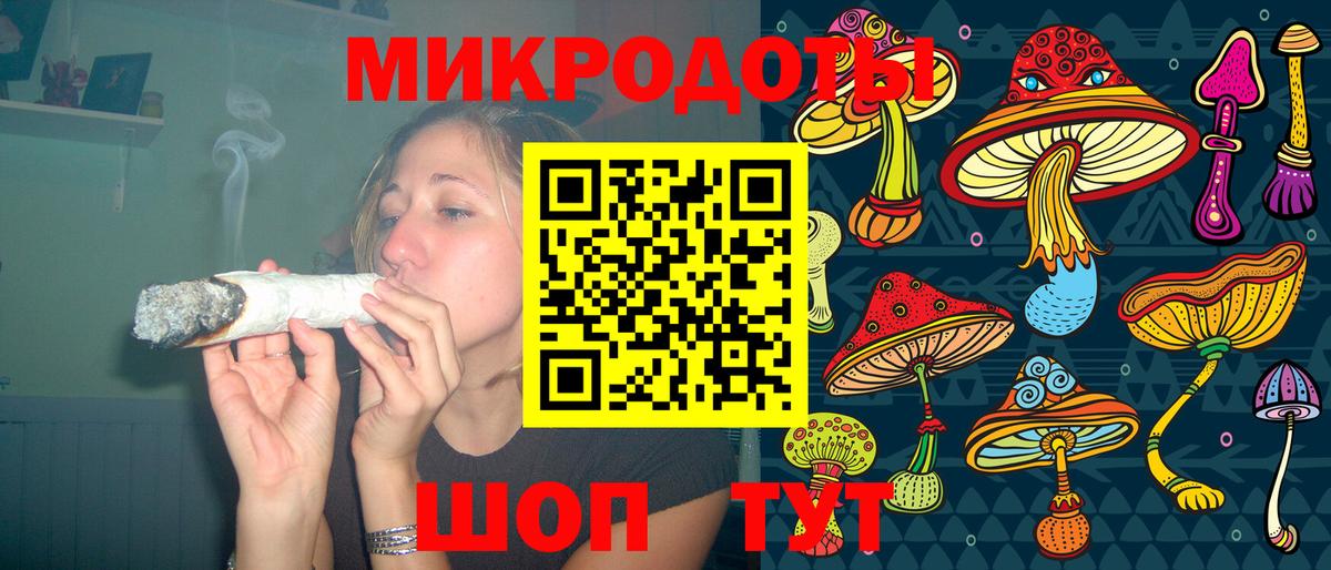 Сертолово  Псилоцибиновые грибы Psilocybine cubensis  Вход с VPN 